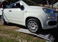 fiat panda 12 easy